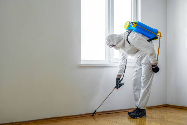 Pest Prevention Services in Anthem, AZ